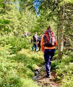 Wandeling bij Lybergsgnupen